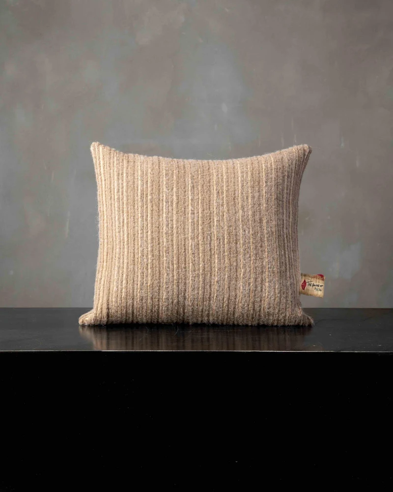 Coussin Lucidio