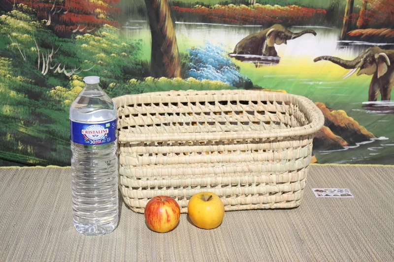 CORBEILLE PANIER de rangement rectangle - 100% NATUREL en Palmier - Coffre bac osier rotin
