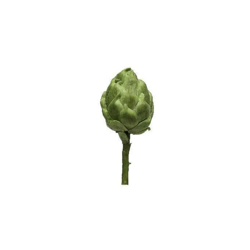 ARTICHAUD vert sur tige