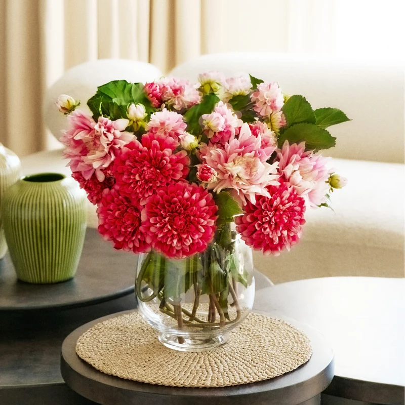 Vase BULBE transparent