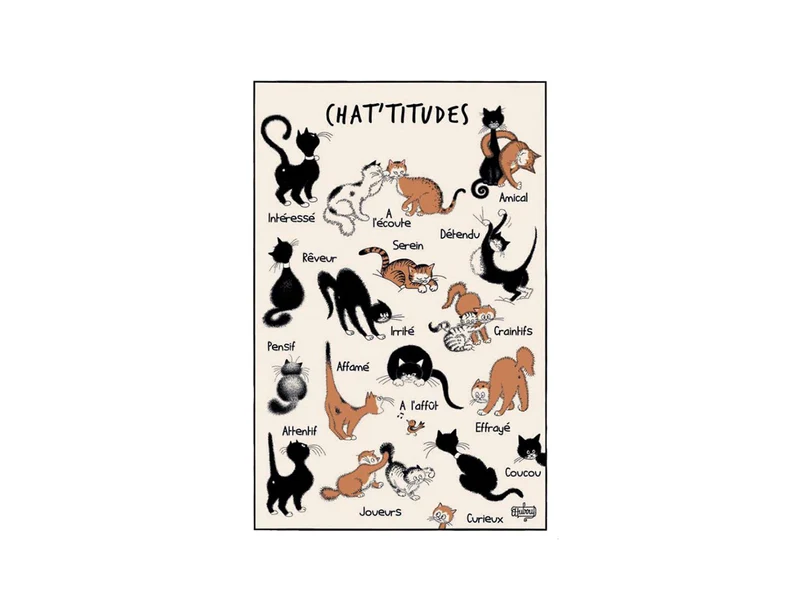 Torchon Coton - DUBOUT CHAT TITUDES