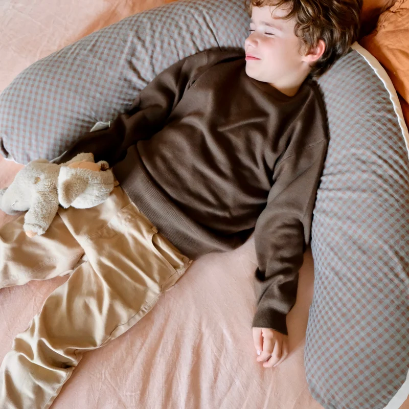 Coussin d'Allaitement Vichy Châtaigne