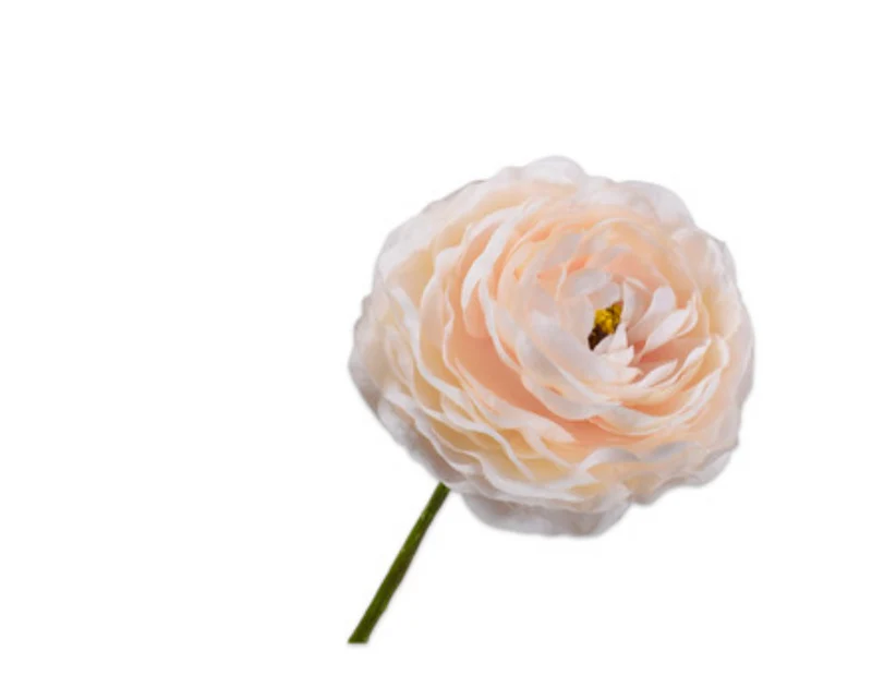 RENONCULE Pédoncule crème 55 cm
