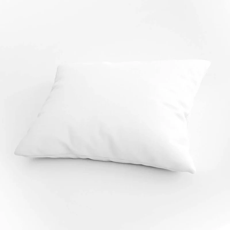Pack de 2 oreillers écologiques
