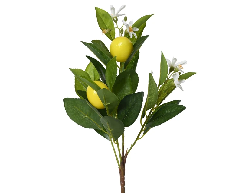 CITRON Branche feuilles et fleurs H58 cm