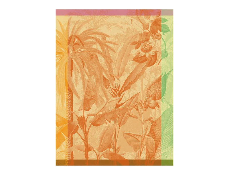 Torchon 100% coton - EQUATEUR Toucan