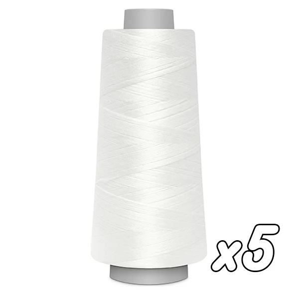 Fil pour surjeteuse Gütermann Bulky-Lock n°160 2000m x5