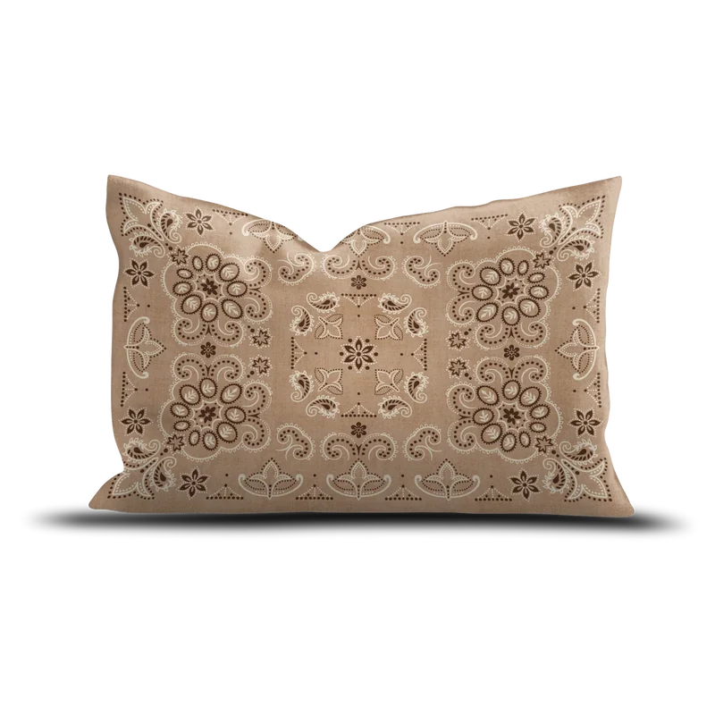 COUSSIN VELOURS CASIMIR - 4OX60CM