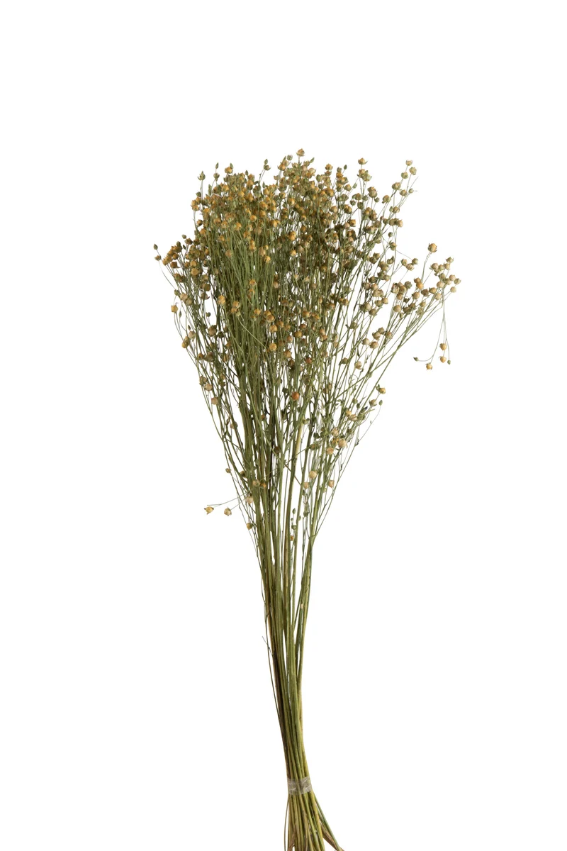 LIN JAUNE Botte fleurs séchées jaune