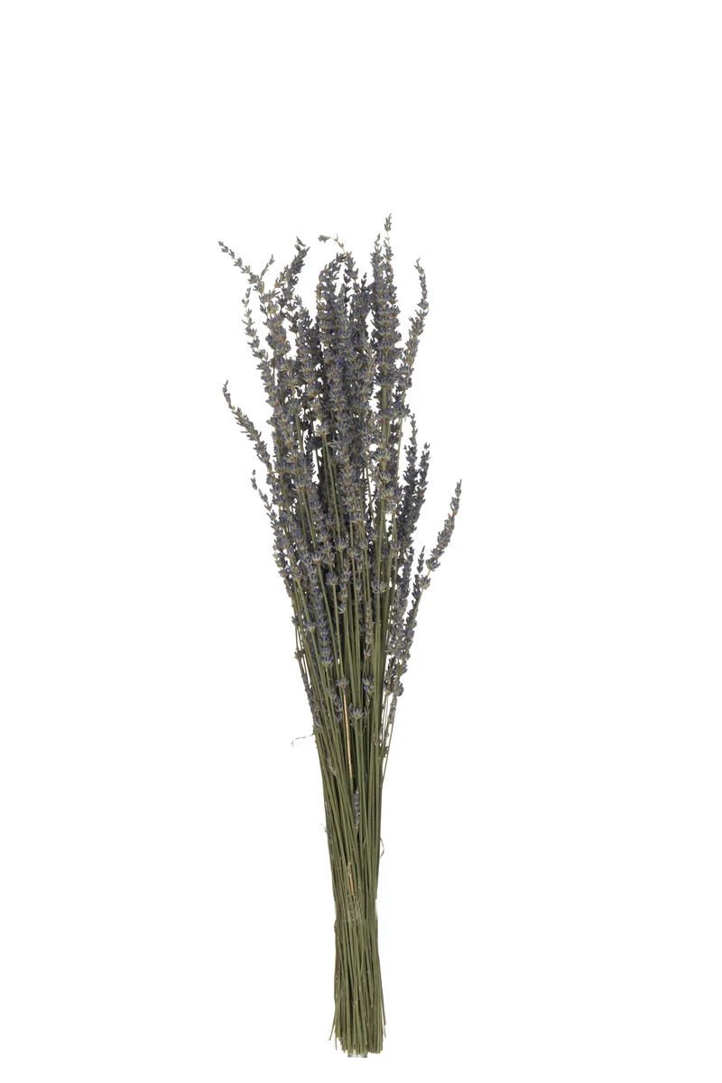 LAVANDE Bouquet séché mauve