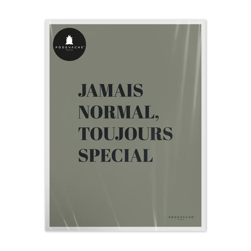 AFFICHE 30x40CM - TOUJOURS SPECIALE
