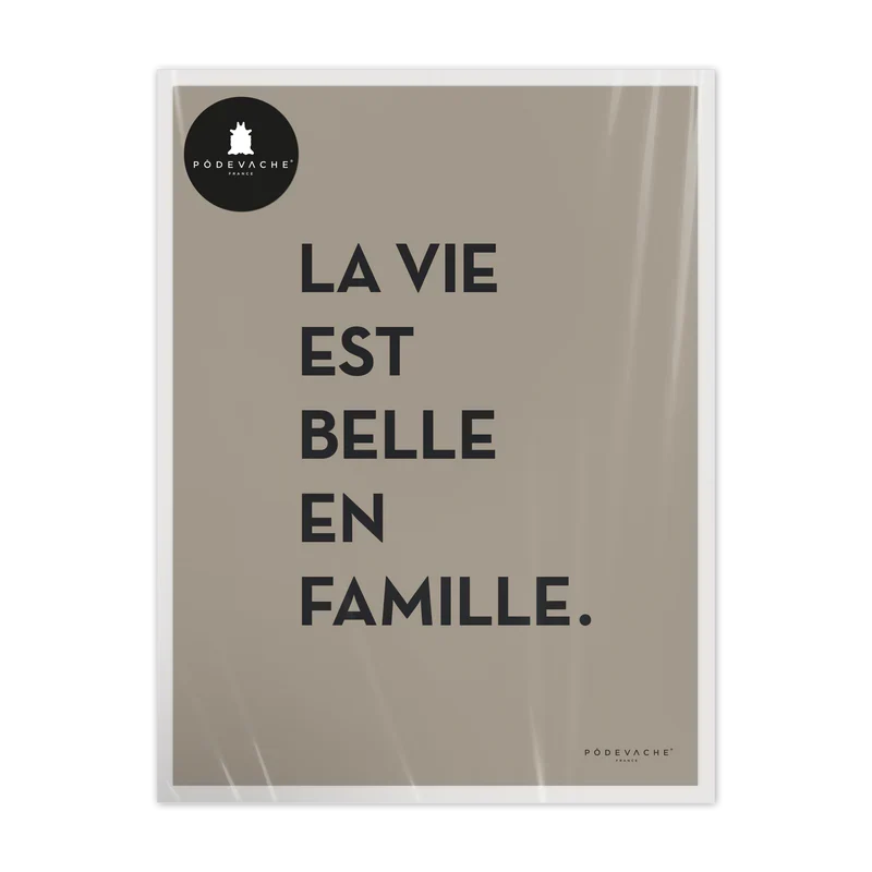 AFFICHE 30x40CM - LA VIE EST BELLE
